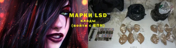 спайс Алзамай