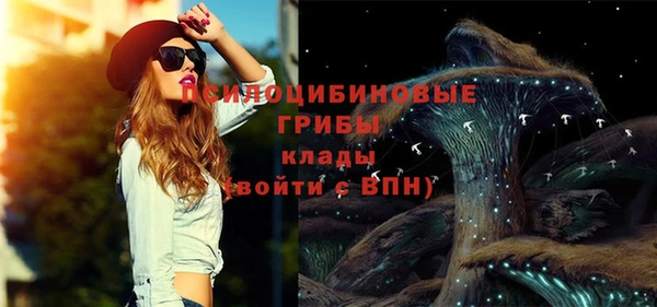 амф Алексеевка